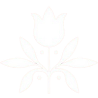 iraayastore